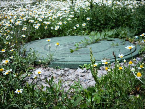 How Septic Tank Landscaping Choices Can Protect or Damage Your System